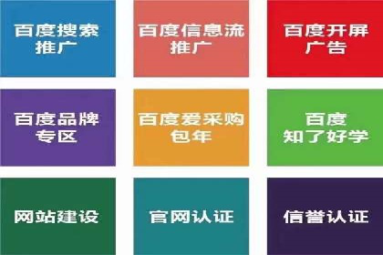 案例分享：竞价代运营助力企业增长